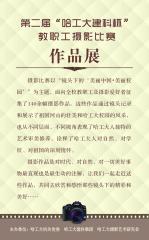 本页围绕「fmsdp.com最新版下