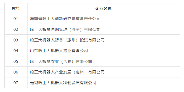爱游戏体育平台资助罗马-爱游戏（